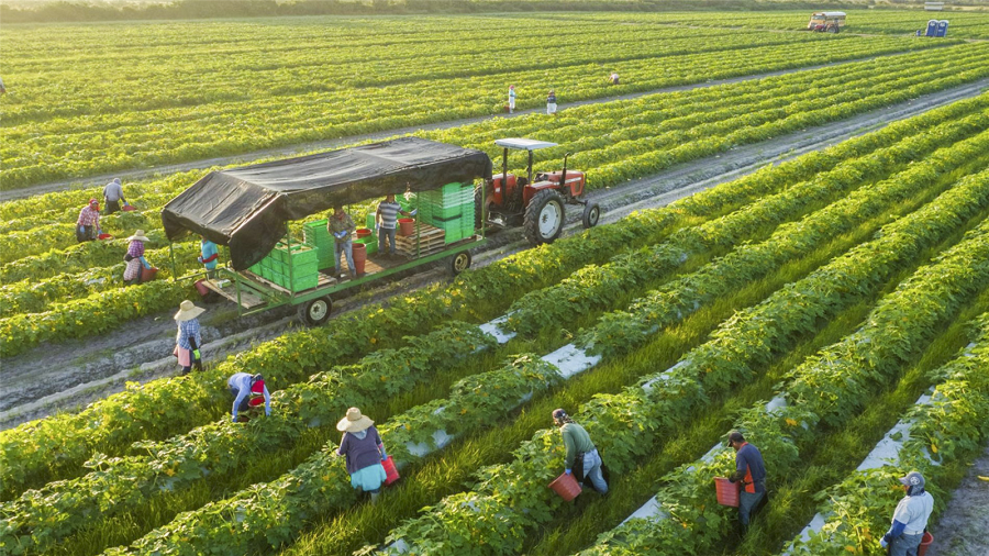 chuyển đất nông nghiệp sang đất ở